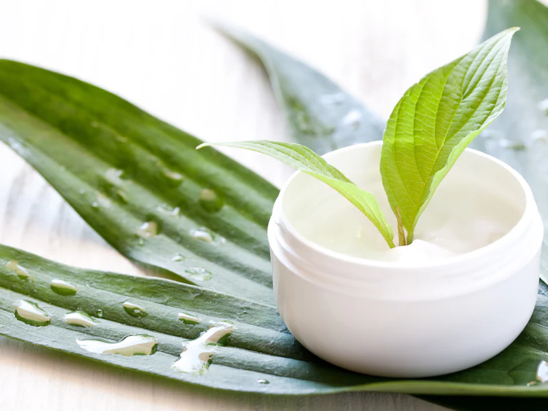 Crème Cosm'Ethique avec des plante à l'interireur